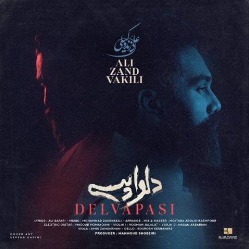 کاور آهنگ دلواپسی از علی زندوکیلی