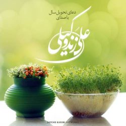 کاور آهنگ دعای تحویل سال از علی زندوکیلی