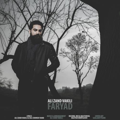 کاور آهنگ فریاد از علی زندوکیلی