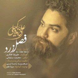 کاور آهنگ فصل زرد از علی زندوکیلی