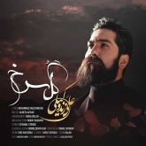 کاور آهنگ گل سرخ از علی زندوکیلی
