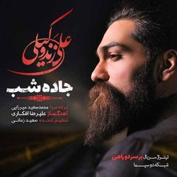 کاور آهنگ جاده شب از علی زندوکیلی