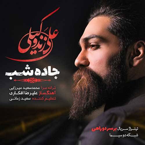 کاور آهنگ جاده شب از علی زندوکیلی