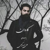 کاور آهنگ کاروان از علی زندوکیلی