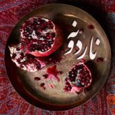کاور آهنگ ناردونه از علی زندوکیلی