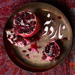 کاور آهنگ ناردونه از علی زندوکیلی