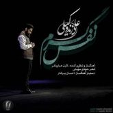 کاور آهنگ نفس گرم از علی زندوکیلی
