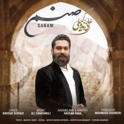 کاور آهنگ صنم از علی زندوکیلی