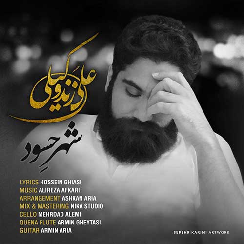 کاور آهنگ شهر حسود از علی زند وکیلی