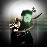 کاور آهنگ شوق دیدار از علی زندوکیلی
