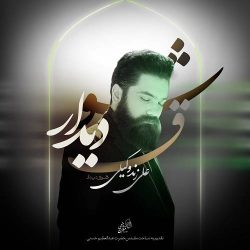 کاور آهنگ شوق دیدار از علی زندوکیلی