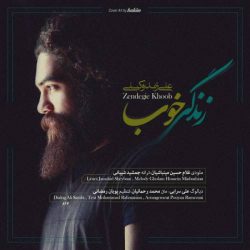 کاور آهنگ زندگی خوب از علی زندوکیلی