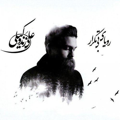 کاور آلبوم رویای بی تکرار از علی زندوکیلی