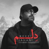 کاور آهنگ دلم از مهدی جهانی
