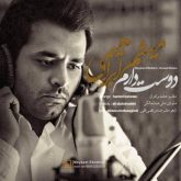 کاور آهنگ دوست دارم از میثم ابراهیمی