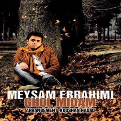 کاور آهنگ قول میدم از میثم ابراهیمی