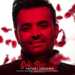 کاور آهنگ گل رز از میثم ابراهیمی