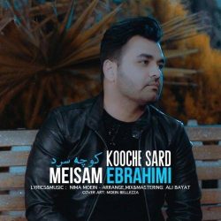 کاور آهنگ کوچه سرد از میثم ابراهیمی