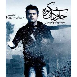 کاور آهنگ شکوه جاودان از میثم ابراهیمی