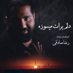 کاور آلبوم دلم برات میسوزه از رضا صادقی