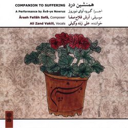 کاور آلبوم همنشین درد از علی زندوکیلی
