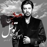 کاور آهنگ توسل از امیر عباس گلاب