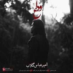 کاور آهنگ وداع از امیر عباس گلاب