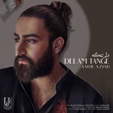 کاور آهنگ دلم تنگه از امیر عظیمی