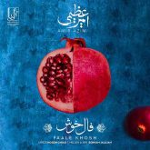 کاور آهنگ فال خوش از امیر عظیمی