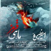 کاور آهنگ ماهی قرمز از امیر عظیمی