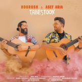 کاور آهنگ تابستون از هوروش بند و آصف آریا