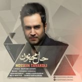 کاور آهنگ حال مجنون از حسین توکلی