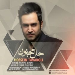 کاور آهنگ حال مجنون از حسین توکلی