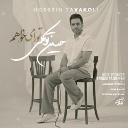 کاور آهنگ تو را میخواهم از حسین توکلی