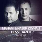 کاور آهنگ حس تازه از ناصر زینعلی و ماهام