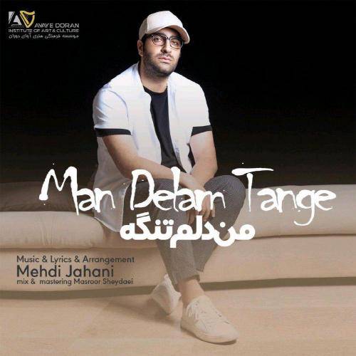 کاور آهنگ من دلم تنگه از مهدی جهانی