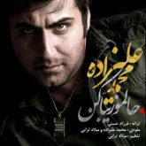 کاور آهنگ حالمو زیبا کن از محمد علیزاده