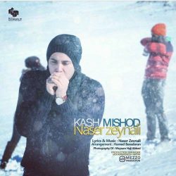 کاور آهنگ کاش میشد از ناصر زینعلی