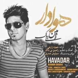 کاور آهنگ هوادار از رامین بیباک