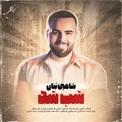 کاور آهنگ شب شد از شاهین بنان