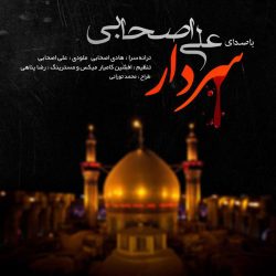 کاور آهنگ سردار از علی اصحابی