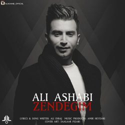 کاور آهنگ زندگیم از علی اصحابی