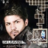 کاور آلبوم دیگه میرم از مجید خراطها