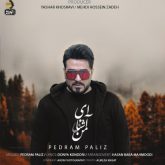 کاور آهنگ ای آشنای من از پدرام پالیز