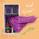 کاور آهنگ گلدونه شعمدونی از سینا حجازی