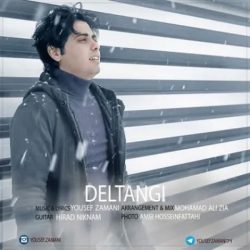 کاور آهنگ دلتنگی از یوسف زمانی