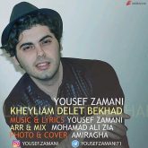 کاور آهنگ خیلیم دلت بخواد از یوسف زمانی