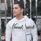 کاور آهنگ دل دیوونه از احمد سعیدی