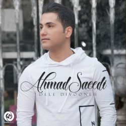 کاور آهنگ دل دیوونه از احمد سعیدی