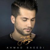 کاور آهنگ خوشبختی از احمد سعیدی